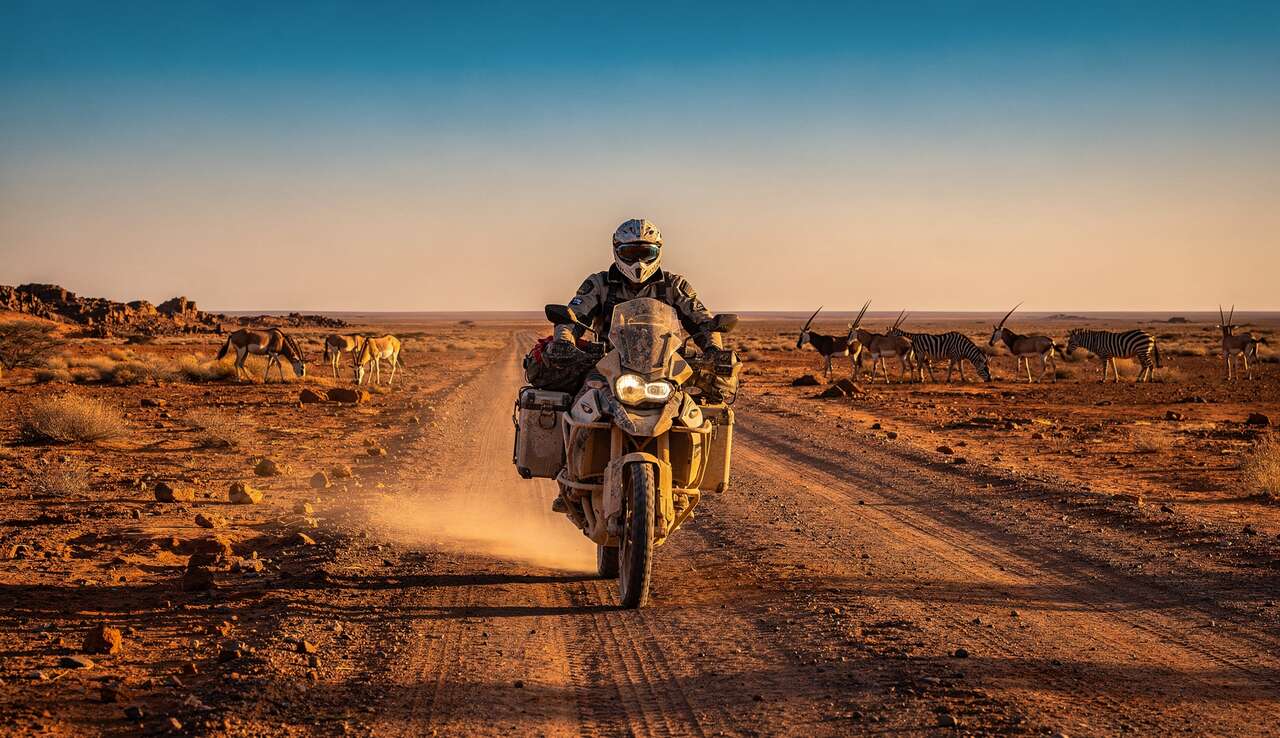 D&eacute;couverte de la faune sauvage