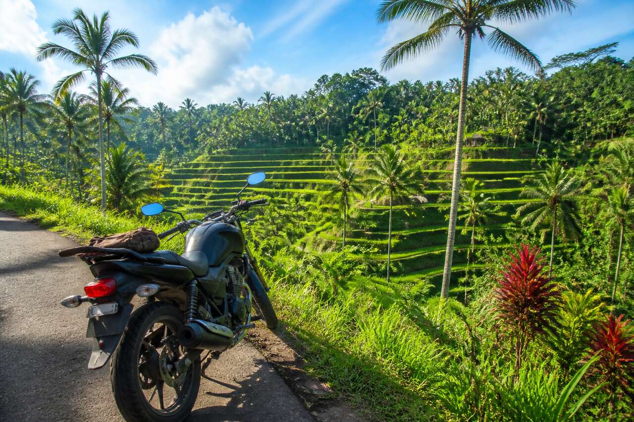 Voyager ร moto ร Bali : 10 bonnes raisons de l'adopter
